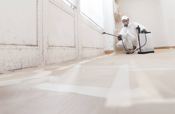 24/7 Emergency Black Mold Removal experts in Richardsville, VA