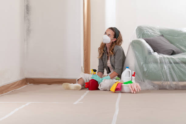 Reliable Black Mold Removal contractor in Richardsville, VA by WQB Mold Removal